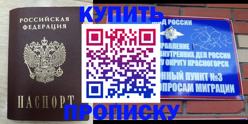 прописка гарантия в Звенигороде